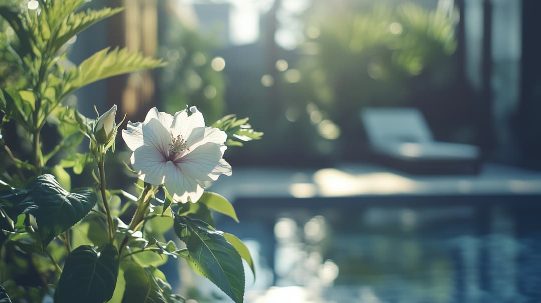 Rose of Sharon (Hibiscus syriacus)